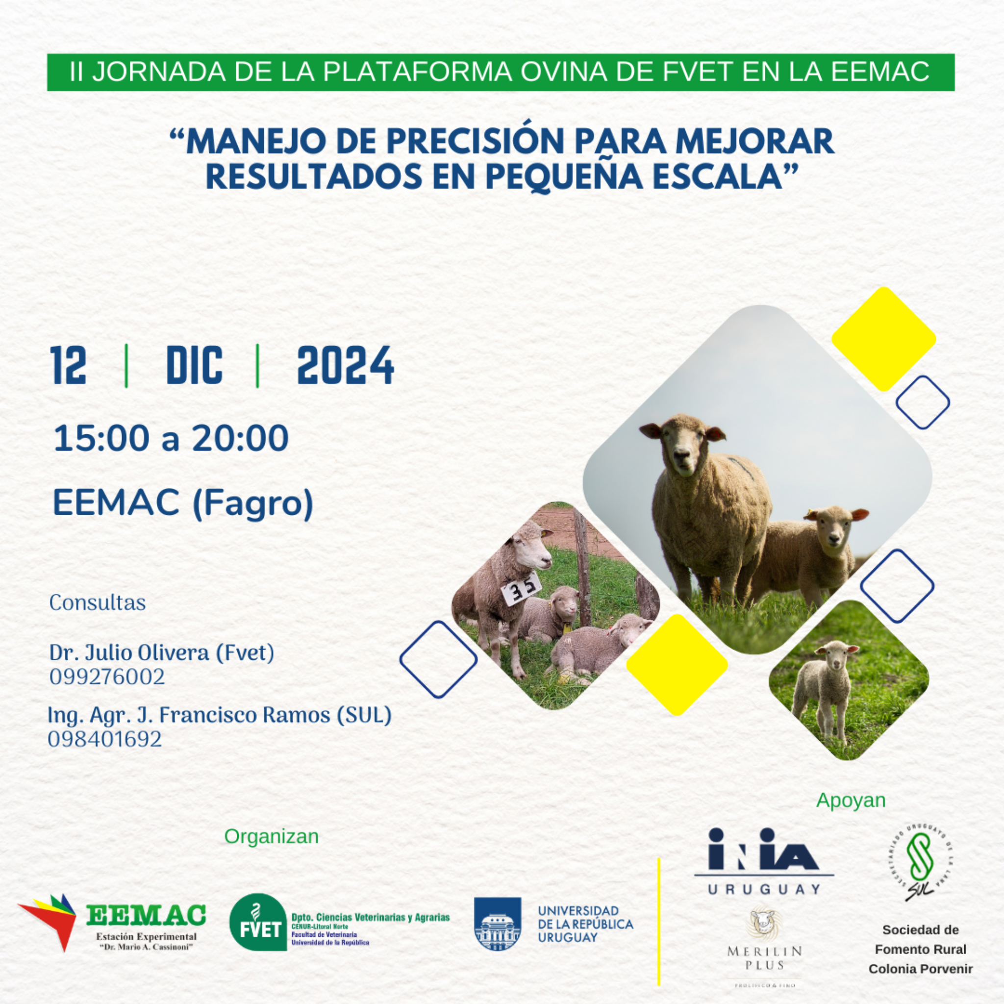 Eemac II Jornada de la Plataforma Ovina de FVET en la EEMAC: «Manejo de ...